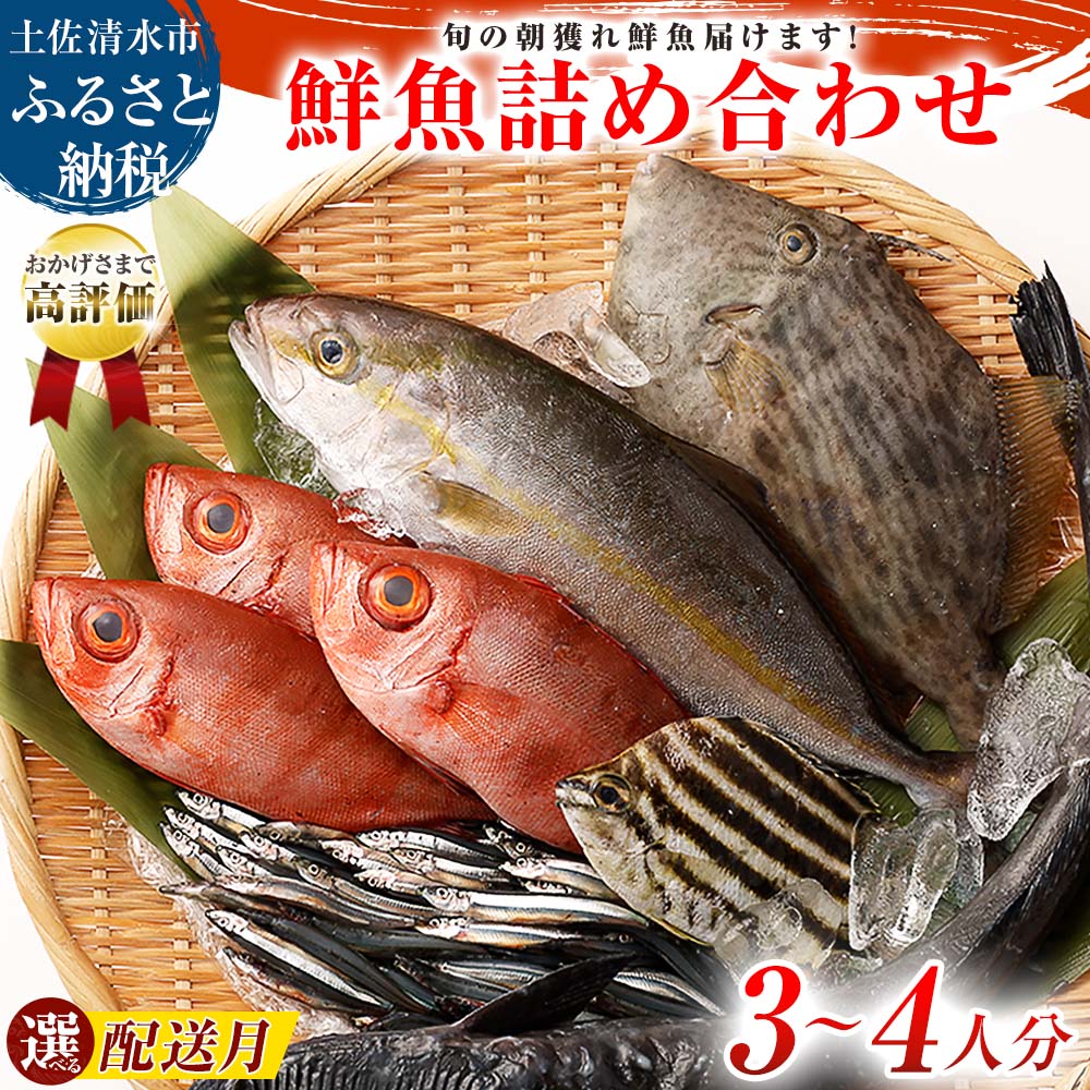 【ふるさと納税】 鮮魚 ボックス 詰め合わせ 選べる発送月 ※着日指定不可 配送月 朝獲れ 朝どれ 旬 3~4人分 魚介 海鮮 刺身 魚料理 まるごと 生魚 さかな サバ タイ アジ カツオ カマス カンパチ セット おまかせ 産地直送 漁師直送 おすすめ 人気 高知 13000円【S00818】