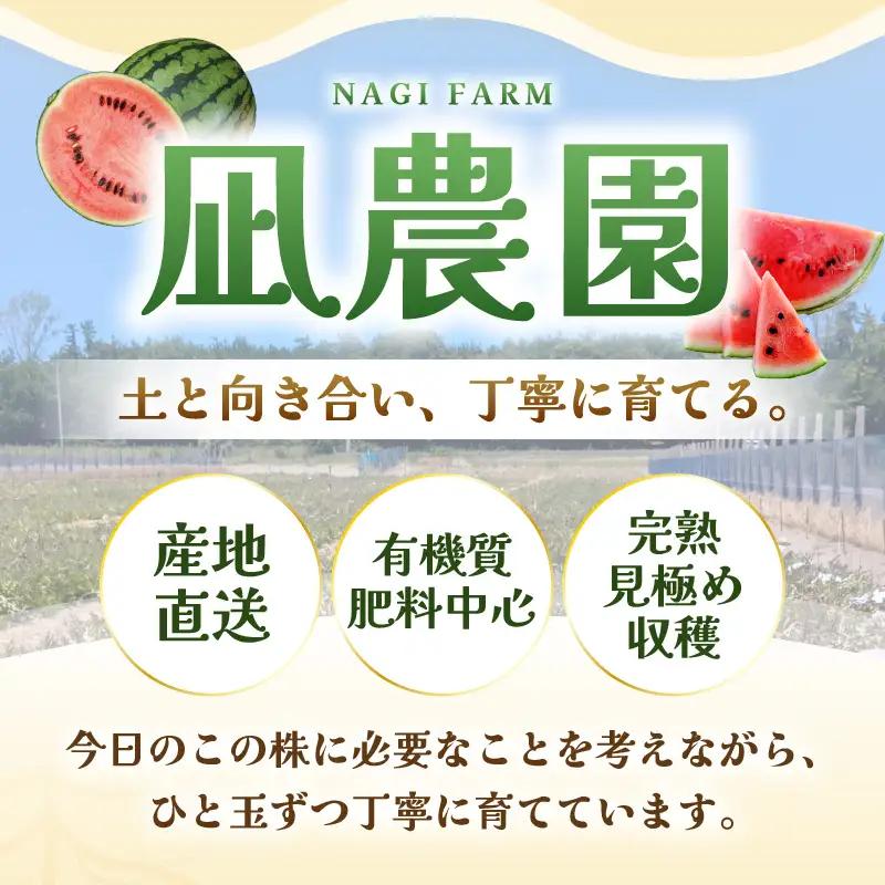 先行予約  大玉スイカ (赤肉) 1玉 糖度11.5度以上 2026年6月上旬以降順次発送予定 [A-22103]