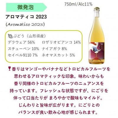 ふるさと納税 南陽市 NEW NANYO弾ける泡セット 750ml×2本 『(株)グレープリパブリック』 【S2337】 |  | 01