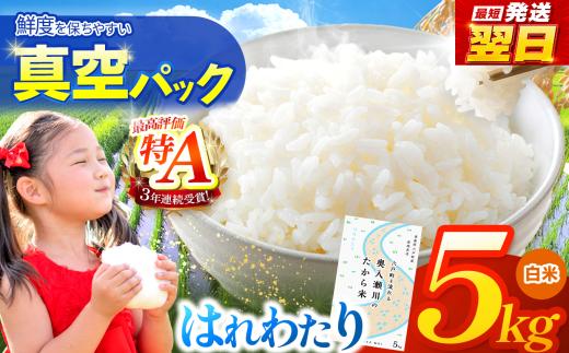 鮮度を保ちやすい 真空パック ！はれわたり 白米 5㎏ | 米 お米 こめ コメ  5kg 2025年産 令和7年度産 国産 産地直送 もっちり 甘み 定期 青森の旨い米グランプリ 最優秀賞 獲得 水稲 宝精米所 青森県 六戸町