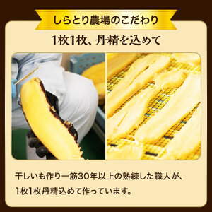 干し芋（スティックタイプ）訳あり品　1kg（100g×10パック）