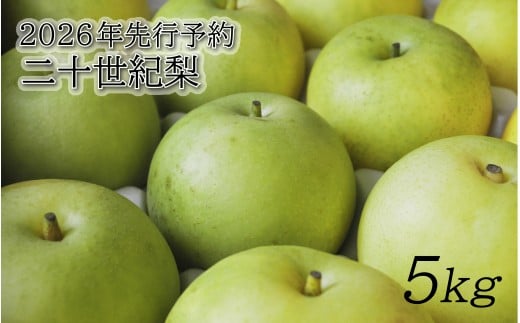 【2026年 先行予約】二十世紀梨 5kg｜鳥取 東光園 梨 2026年収穫後 2026年8月下旬～9月頃順次発送※着日指定不可【41053】