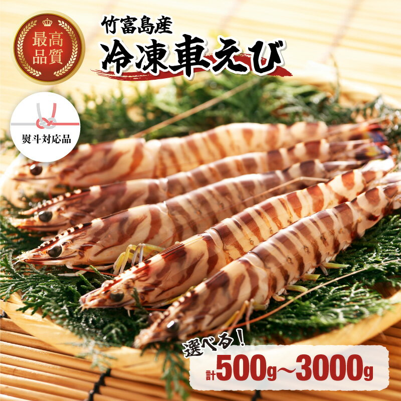 【ふるさと納税】【内容量が選べる！】竹富島産 車えび 冷凍車海老 500g〜3kg 【 海老 車エビ エビ 車海老 竹富島産 冷凍】