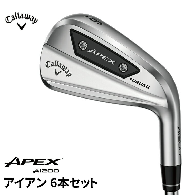 【ふるさと納税】キャロウェイ APEX Ai200 アイアン 6本セット Callaway ゴルフ ゴルフクラブ スポーツ エーアイ エイペックス