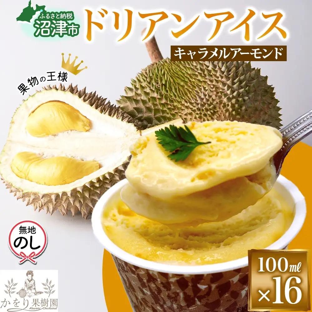 無地熨斗 ドリアン ココナッツ キャラメルアーモンド アイスクリーム 100ml 16個 ココナッツ キャラメル