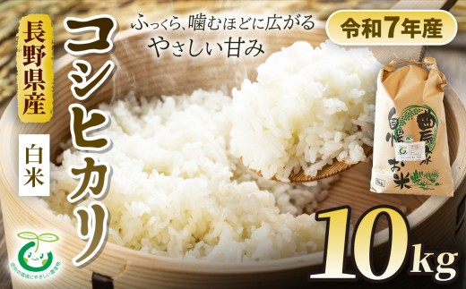 コシヒカリ 10kg 白米 信州 安曇野 松川村産 特別栽培米 | そば処こうや 米 こめ コメ お米 白米 特別栽培米 コシヒカリ こしひかり ライス 長野県 松川村 信州
