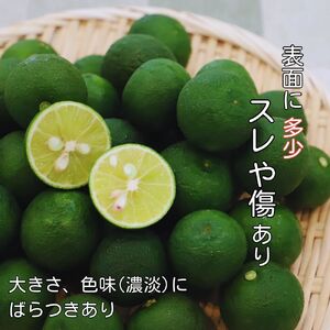 <先行予約> 徳島県佐那河内村 訳あり冷蔵すだち 1kg《10月中旬〜12月末発送予定》