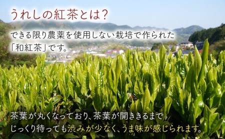 紅茶 うれしの紅茶5種セットA NAP005 