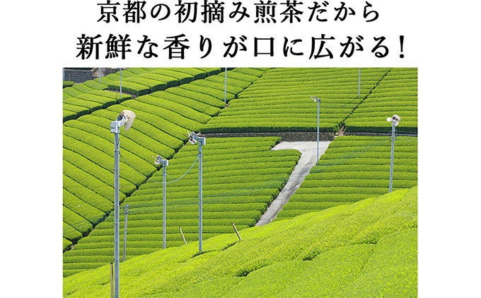 桜皮茶筒と最高峰煎茶と玉露のセット　宇治茶の木谷製茶場 〈 煎茶 玉露 宇治茶 茶 お茶 緑茶 茶葉 お茶葉 最高峰 濃厚 最上級 高級 桜皮 セット 茶筒 保存缶 宇治 〉