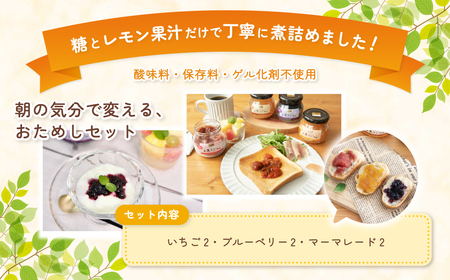 ジャム カンピー ザ・プレミアム　手造りジャム (3種×2個)  ジャム