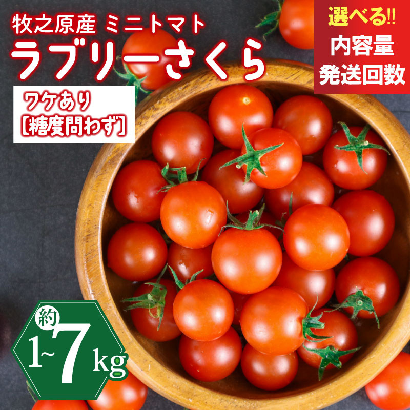 
            訳あり ミニ トマト フルーツ トマト ラブリーさくら うまたま 予約 受付 1kg ~ 7kg 選べる 容量 発送 回数 国産 野菜 フルーツ 甘い 静岡県 牧之原市 山本農園
          