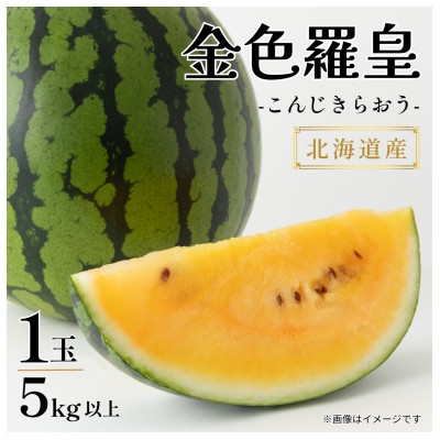 
                  ＜極甘・驚異の糖度＞北海道産 黄肉スイカ「金色羅皇(こんじきらおう)」1玉(5kg以上)8月以降発送【1745307】
                