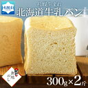 【ふるさと納税】 パン 300g プレーン 2個 牛乳パン 食パン 冷凍パン デニッシュ トースト ベーカリー 冷凍 北海道産 小麦 牛乳 朝食 軽食 ギフト 無地熨斗 フーズ＆ブレッド 北海道 札幌市