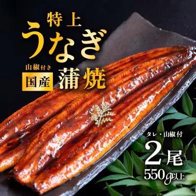 うなぎ 国産 蒲焼き 2尾 550g 特上ウナギ 8月発送 