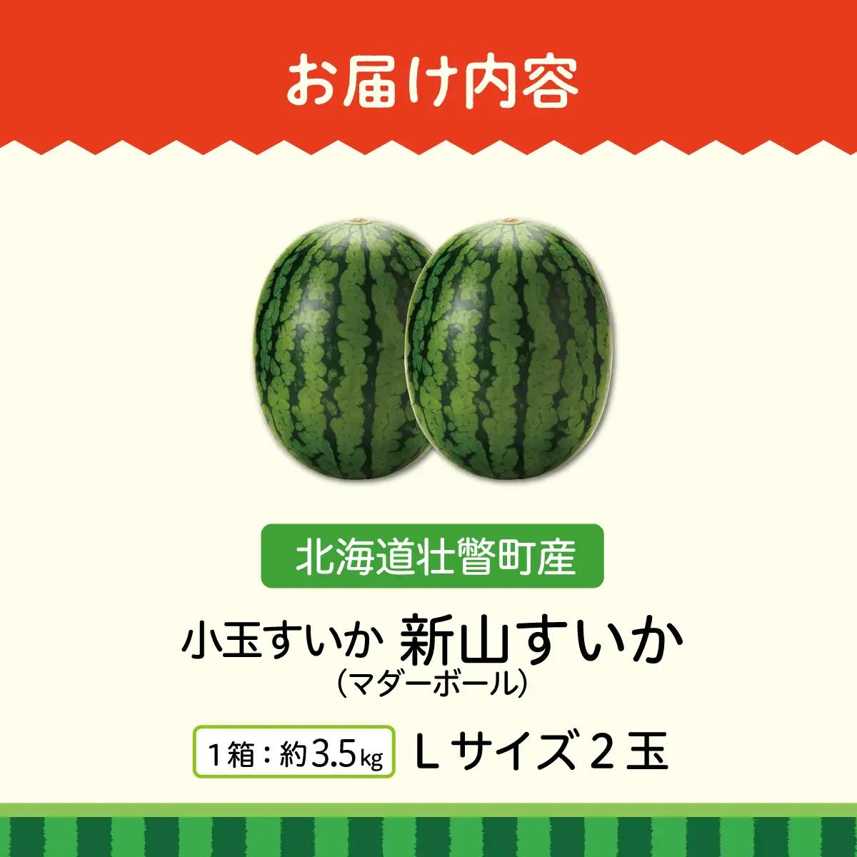 【先行予約】【定期便2回】赤肉メロン2玉＋小玉スイカ2玉 旬のフルーツ定期便　SBTN011