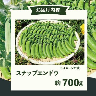 ふるさと納税 大館市 スナップエンドウ  プリッと甘い!約700g |  | 02