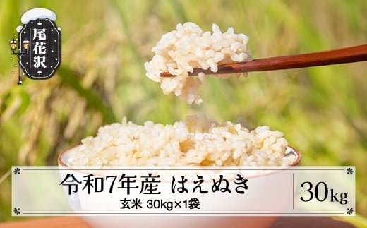 【先行予約】令和7年産 新米 玄米 はえぬき 30kg 11月上旬~順次発送 2025年産 米 お米 国産 山形県 尾花沢市 kd-hagxa30