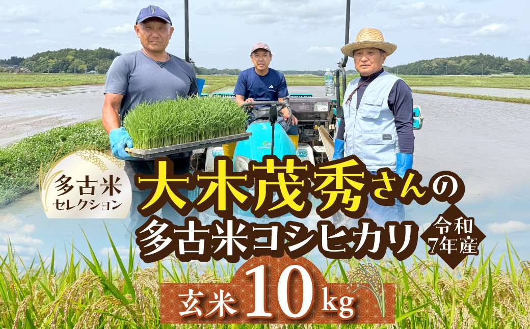 
                  多古米セレクション　大木茂秀さんの多古米コシヒカリ　玄米10kg　令和7年産 TAKF058
                