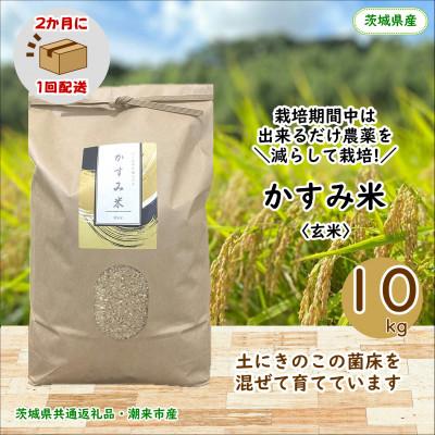 ふるさと納税 鹿嶋市 【2ヵ月毎定期便】栽培期間中出来るだけ農薬を減らしたかすみ米玄米10kg茨城県共通返礼品潮来産全6回