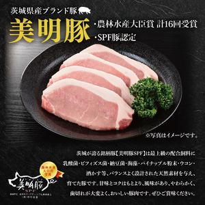 【4か月定期便】A5ランク常陸牛＆美明豚　食べ比べ　定期便コースA（EK-81）