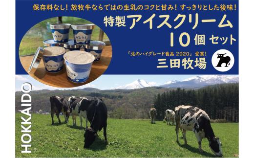アイス 三田牧場 特製 アイスクリーム 4種類 10個 セット ミルク チョコレート いちごみるく ラムレーズン お菓子
