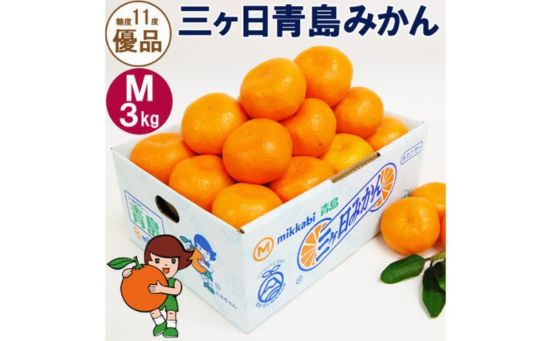 
            三ヶ日青島みかん【優品】Mサイズ3kg (27個前後) ミカン 果物 くだもの フルーツ 甘い 浜松市  [№5360-0129]
          
