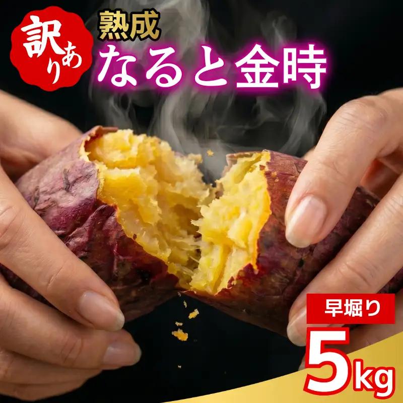 訳あり なると金時 5kg 早掘り さつまいも 鳴門金時