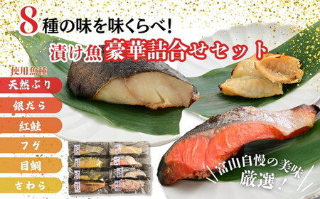 【冷凍・小分け】 粕漬け 西京漬け 4種ずつ 8種セット 24パック（ ブリ 銀ダラ 紅鮭 ふぐ サワラ メダイ ）｜ 天然ぶり 鰤 銀だら 銀鱈 鮭 しゃけ サケ サーモン さわら フグ 味噌漬け 