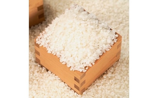 
            丹波コシヒカリ 10kg
          