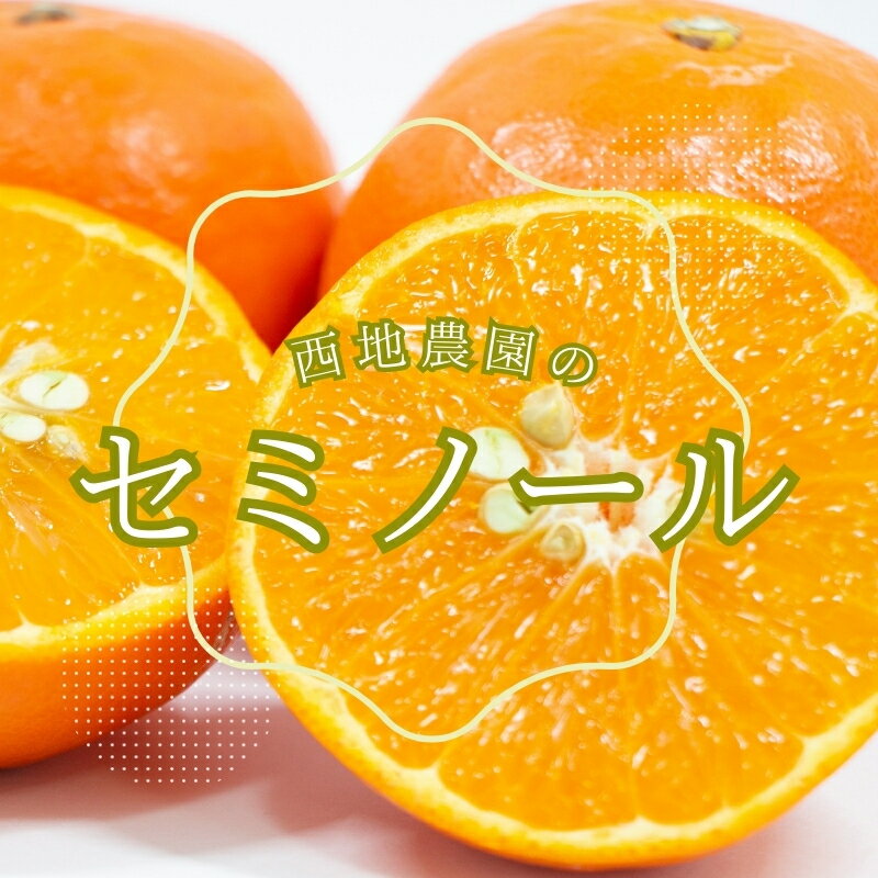【ふるさと納税】 西地農園のセミノール 4.5kg 【選べるサイズ！MまたはL・2Lサイズ】【3月中旬から順次発送】 / セミノール L 2L みかん 蜜柑 柑橘 4.5kg