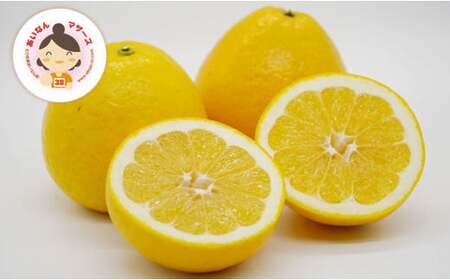 贈答用 河内晩柑 4kg あいなんマザーズ