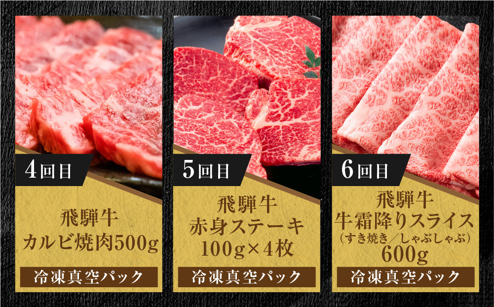 【定期便】全6回 飛騨牛 バラエティ（ステーキ /焼肉 / すき焼き/切り落とし） | 肉 お肉 黒毛和牛 和牛 個包装 小分け 牛肉 お取り寄せ 飛騨高山ミート MZ105