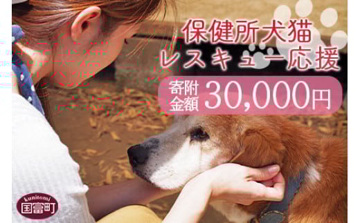 
＜保健所犬猫レスキュー【返礼品なしのご寄附】＞寄付金額30,000円※お礼状をお送りいたします。【 動物愛護 保護 犬 猫 いぬ ねこ イヌ ネコ 動物 どうぶつ ペット 応援 支援 寄付 使い道 いのちのはうす保護家 】
