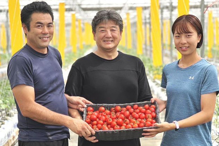 大玉トマト 約4kg（サイズにより18玉～33玉）埼玉県産 トマト