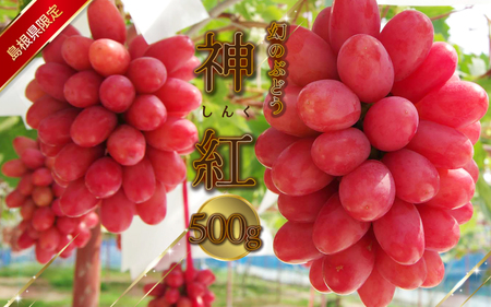 島根県限定！幻のぶどう　”神紅（しんく）” 1房　500ｇ 