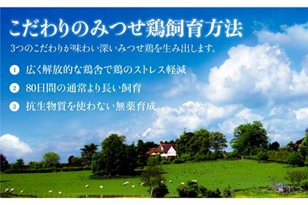 絶品料理でおうち飲み充実間違いなし！みつせ鶏つくね6個・みつせ鶏ソーセージ6本ギフトセット 吉野ヶ里町/炭寅コーポレーション  [FCI005]