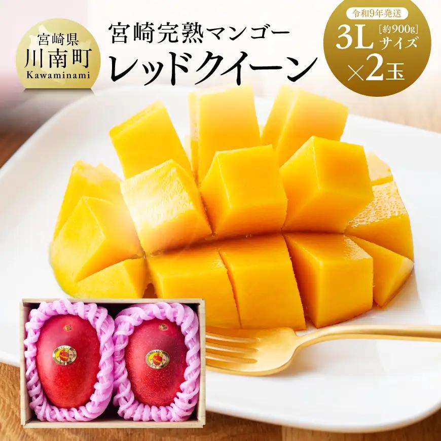 【令和9年発送】宮崎県産完熟マンゴー　「レッドクイーン」3L×2玉 【 果物 フルーツ マンゴー 宮崎県産 完熟マンゴー みやざきマンゴー 先行予約 数量限定 期間限定 】