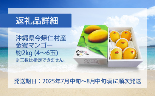 黄金(くがに)マンゴー「金蜜」(2kg以上) 【2025年７月中旬～