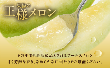 アールスメロン 大玉 1玉 豊橋城下 メロン