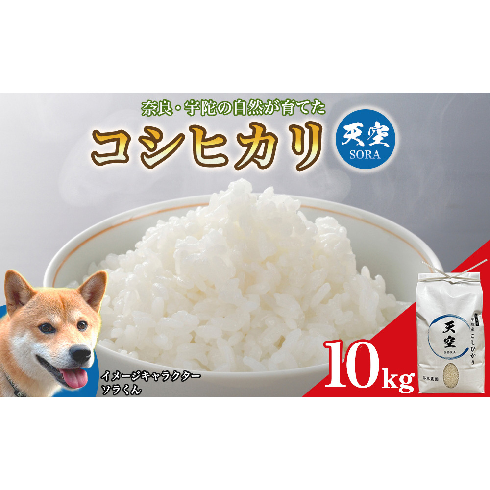 宇陀の自然が育てた 天空【sora】コシヒカリ 10kg｜奈良県宇陀産 白米