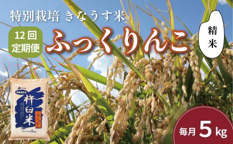
            【精米12ヶ月定期便】特別栽培「きなうす米」ふっくりんこ5kg×12回　P016
          