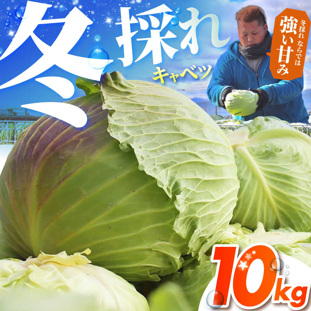 【ふるさと納税】【先行予約】 キャベツ 10kg 【吉祥】[HDG001]