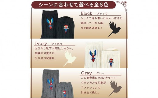 おはなし靴下 ギフトボックス アカコンゴウインコ レディース ネイビー