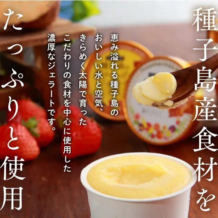 恵みジェラート6個セット【種子島ジェラートＨＯＰＥ】