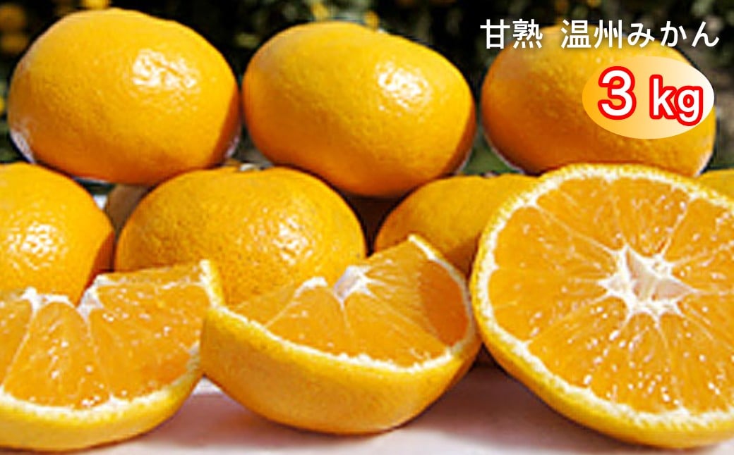 
                  太良町 山本農園の「甘熟 温州みかん」 3kg
                