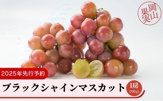 
            ブラックシャインマスカット1房（700ｇ）
          