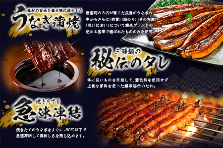 【2026年6月お届け】高評価！ 鰻 鰻楽 国産 3尾【C444-2606】