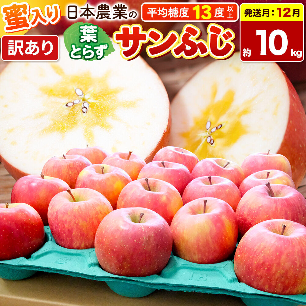 【26年12月発送】りんご 葉とらずサンふじ 【訳あり】 約10kg 蜜入り 平均糖度13度以上 青森県産 [りんご 林檎 アップル 産地直送 葉とらず サンふじ 訳あり 自宅用 家庭用 果物 フルーツ くだもの おいしい 美味 甘い 青森県 弘前市 日本農業]