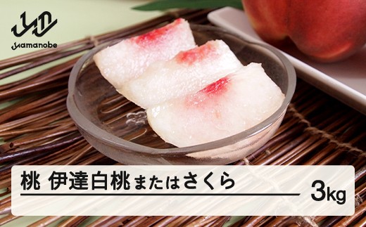 
                  【先行予約】もも 桃 伊達白桃またはさくら 約3kg 令和8年産 2026年産 果物 フルーツ ギフト 贈答用 大玉 ※沖縄・離島への配送不可  mm-modsx3000
                