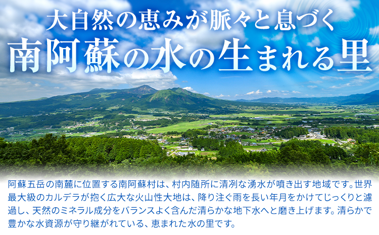 阿蘇の名水 500mL×24本 計12L 九州ネクスト株式会社《30日以内に出荷予定(土日祝除く)》 熊本県 南阿蘇村 白川水源 水 ペットボトル ミネラルウォーター 飲料水 備蓄水 湧水---sms